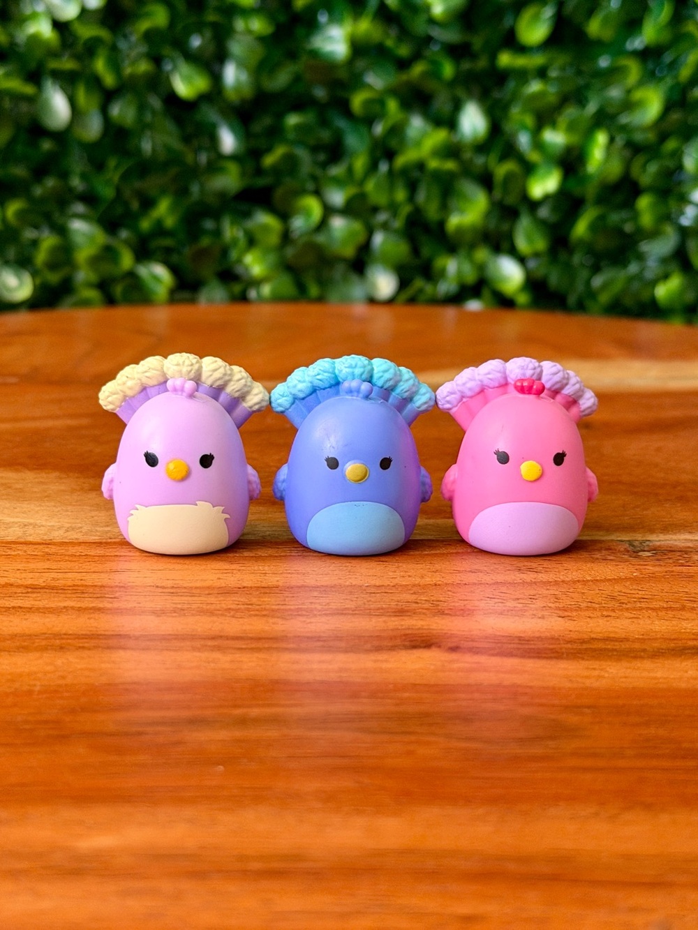 Squish-a-longs by Squishmallows Peacock Bundle
